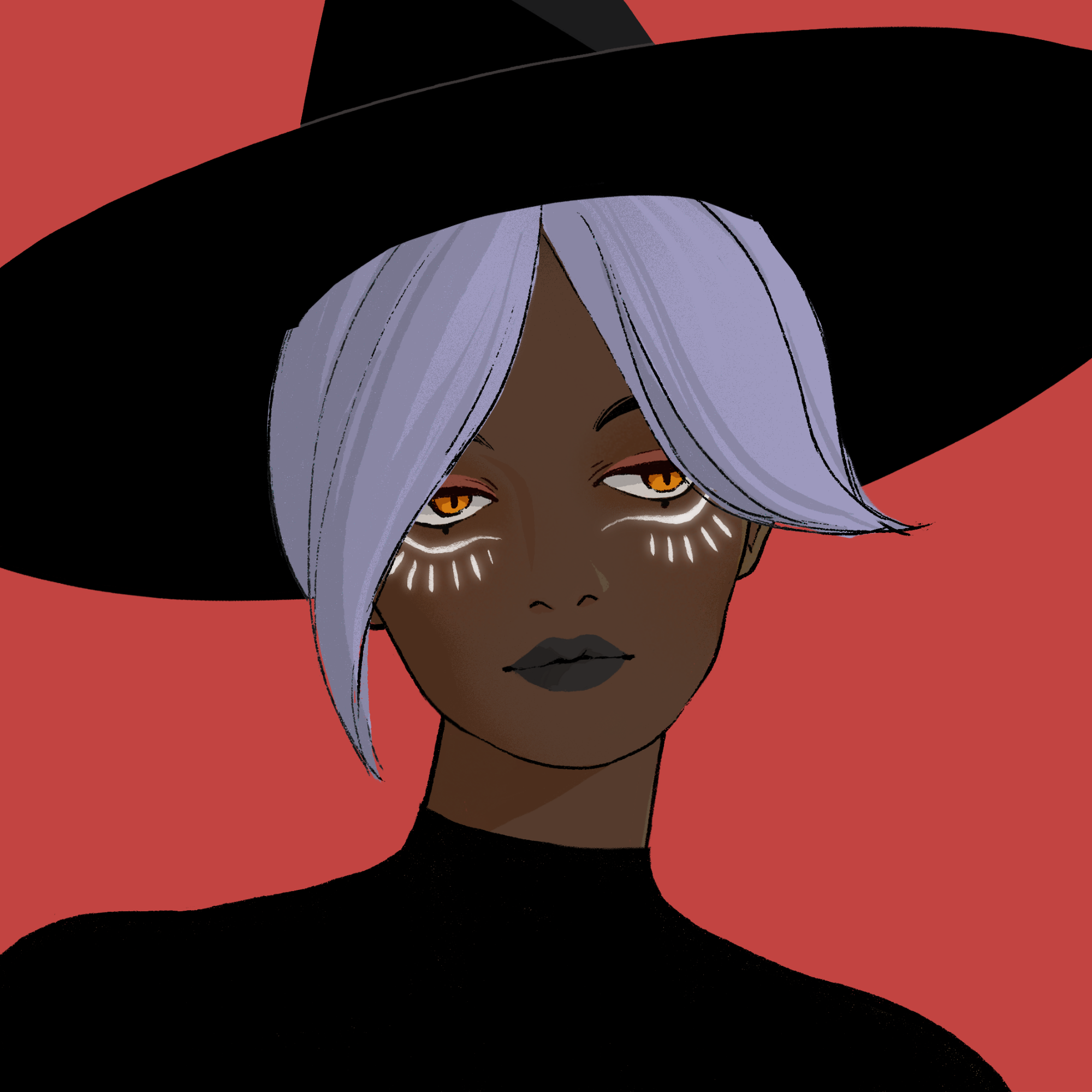 a portrait of Porcini, the light basket