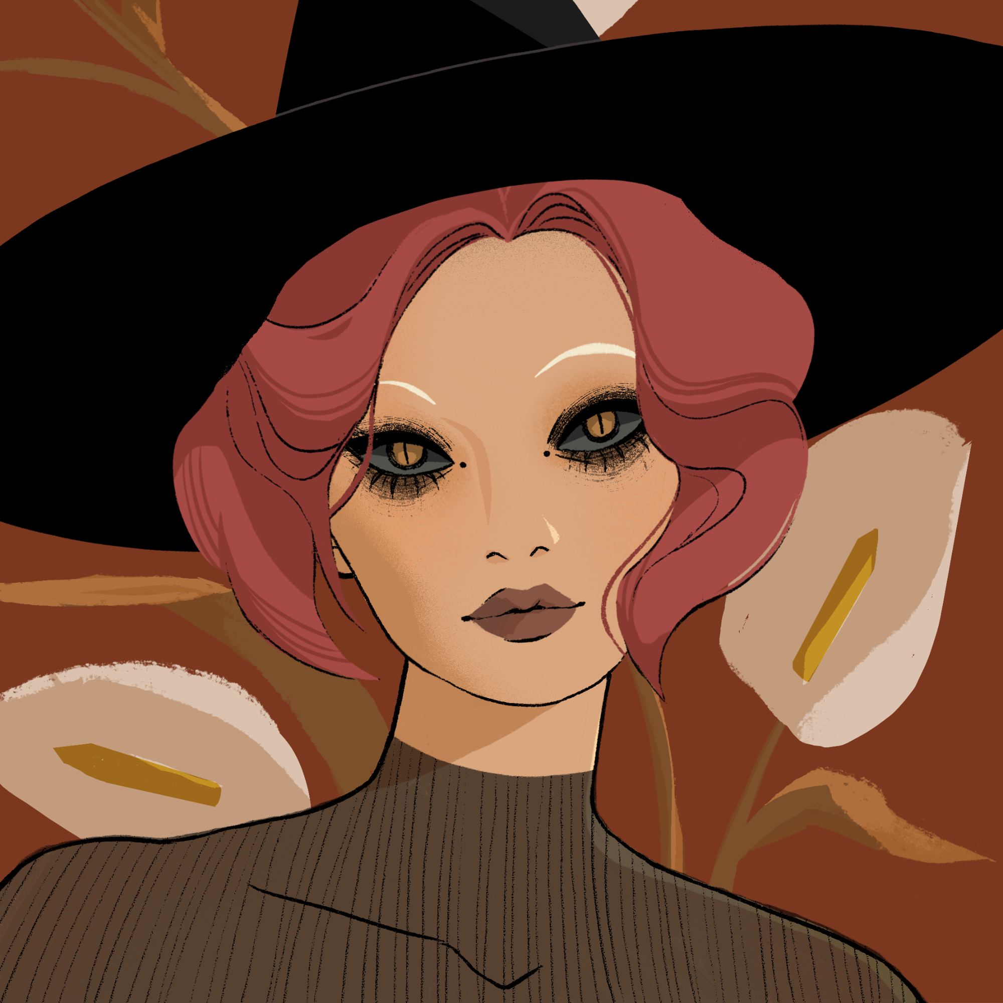 a portrait of Fogo, the scorched entropy