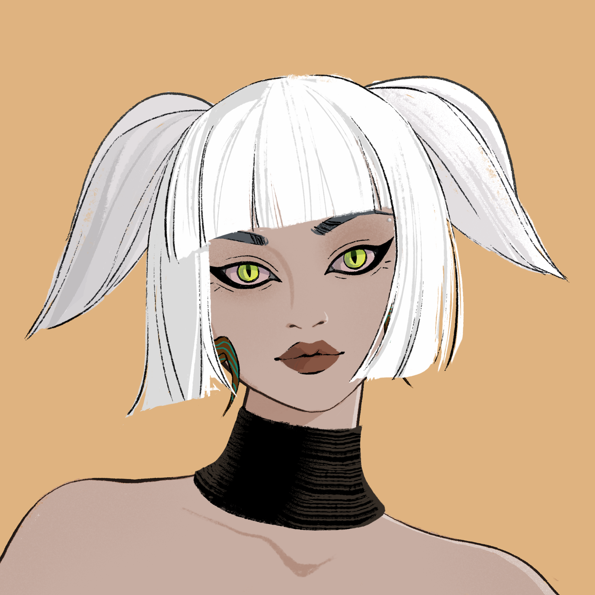 a portrait of The sparkler