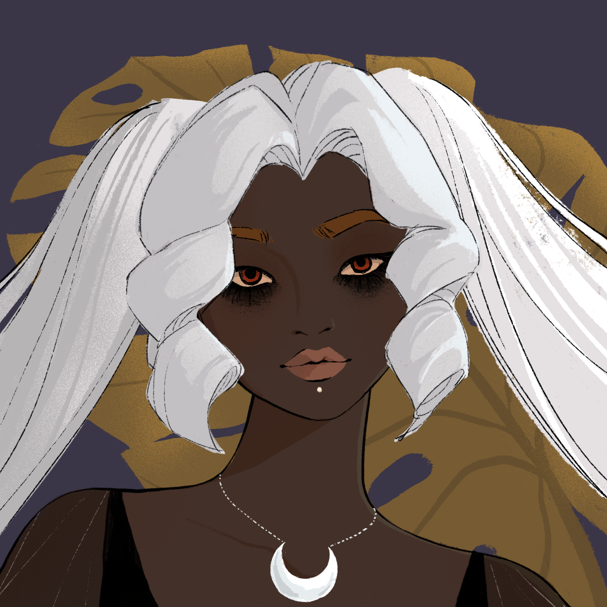 a portrait of Procyon, the sharp inhibition