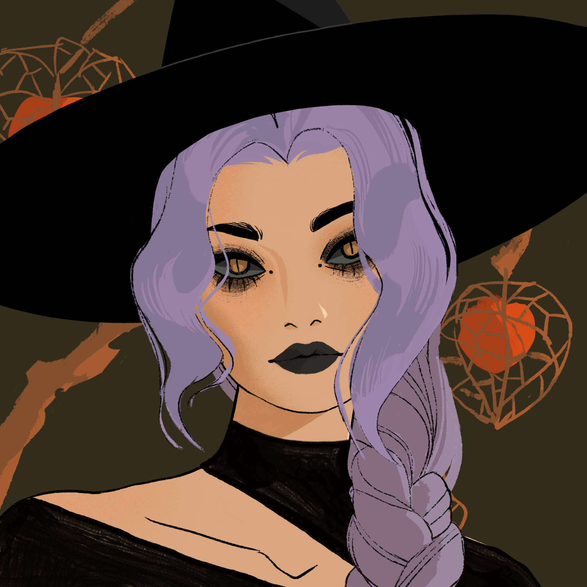 a portrait of Elasticity, the algebraic cognition