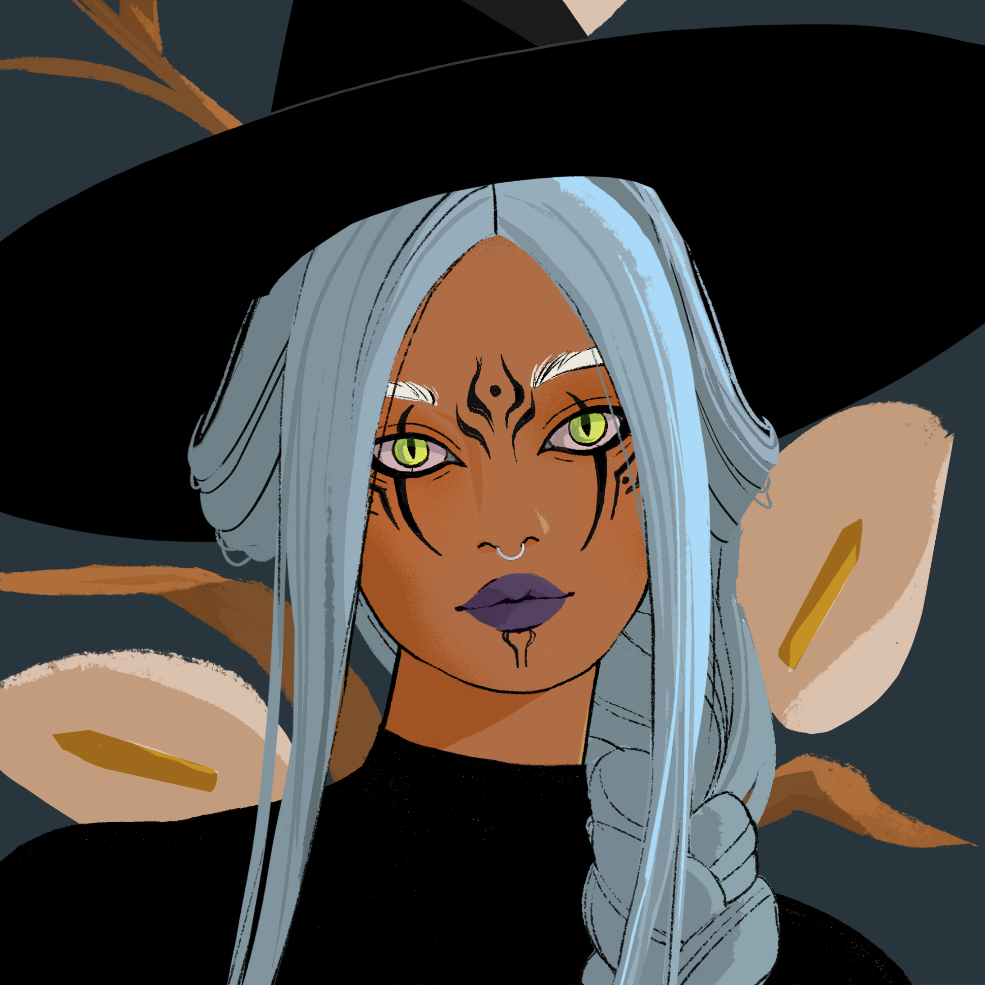 a portrait of Solarflare flail