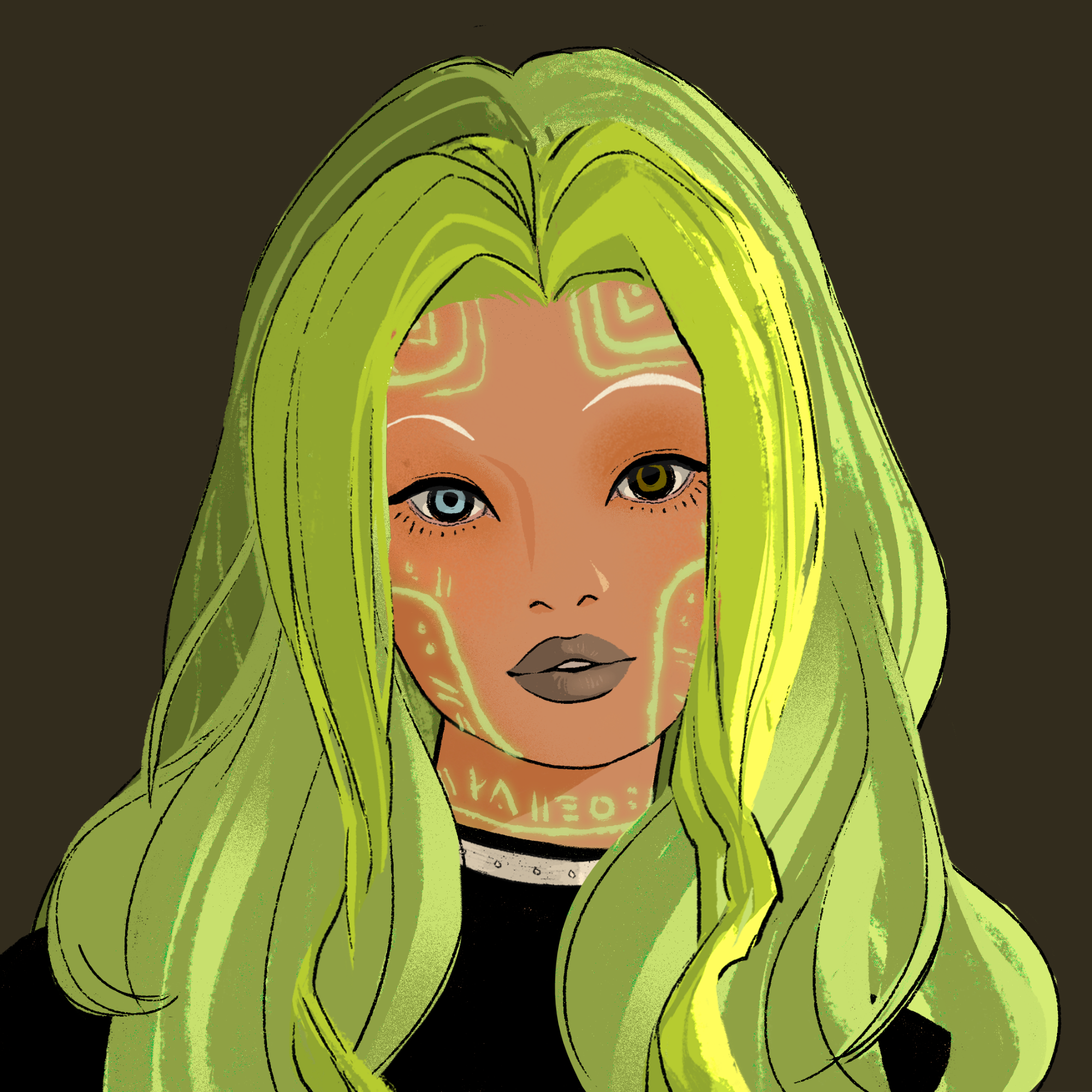 a portrait of Chamaeleon, the decent coefficient