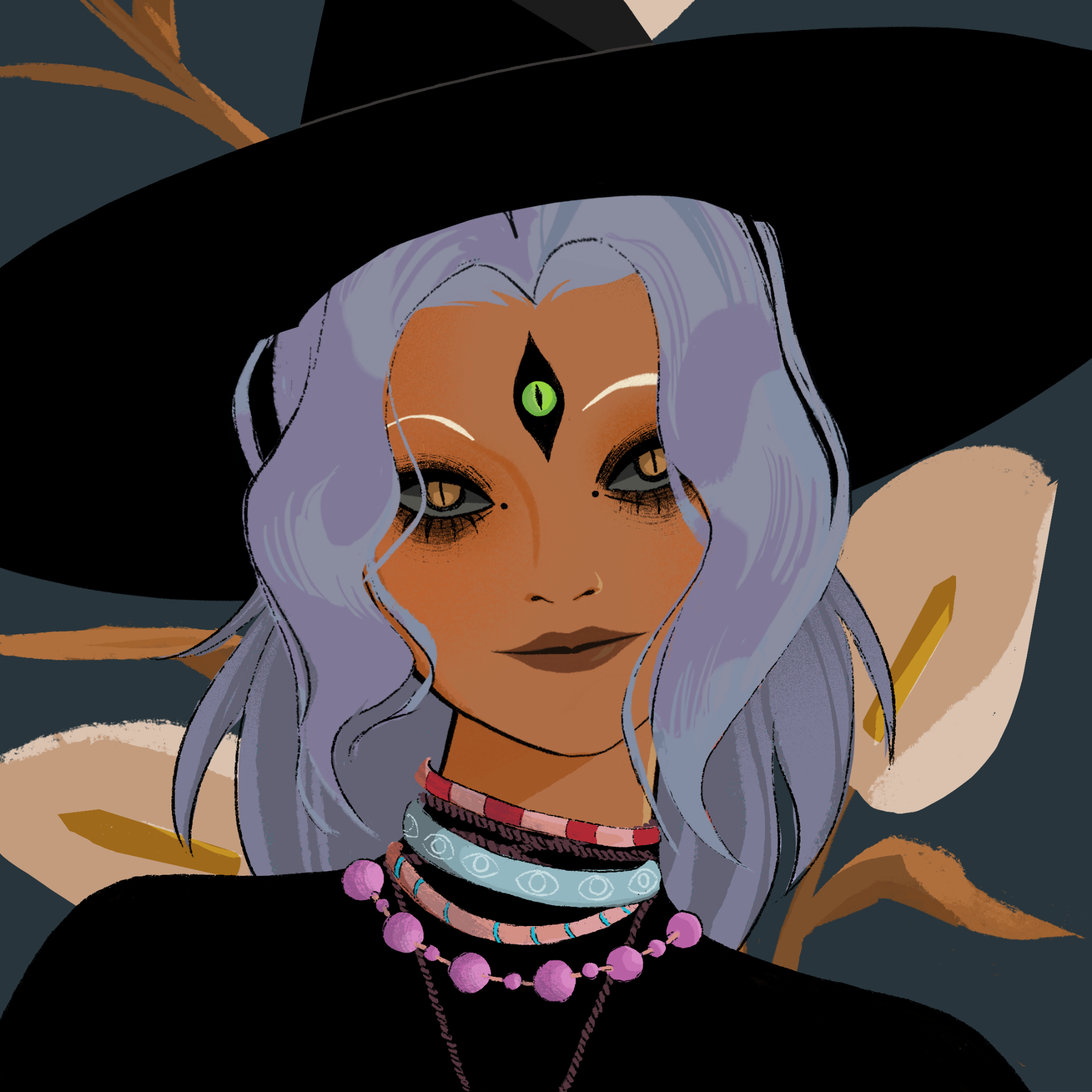 a portrait of Fogo entropy